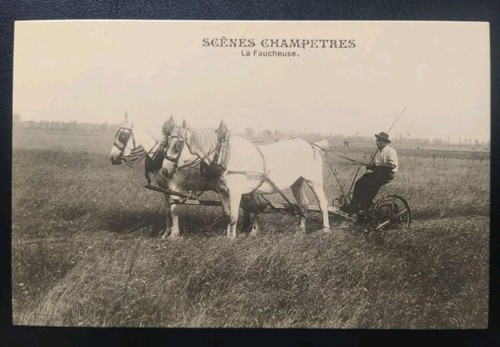 Carte postale scène