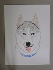 Aquarelle authentique « Tête de chien Husky sibérien style naïf » 32X24 cm n°46 