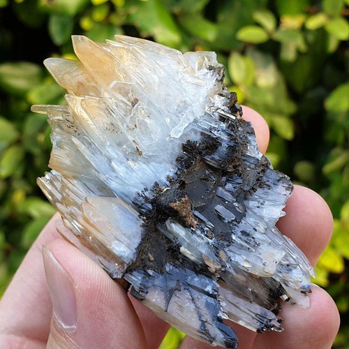 Baryte barytine bleue nador - baryte/barytine,