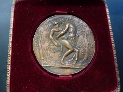 Superbe plaque médaille - superbe,