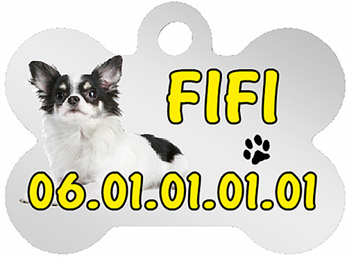 Médaille pour chien chihuahua - médaille,