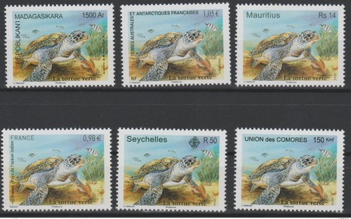 Tortue verte 2014 joint - la,