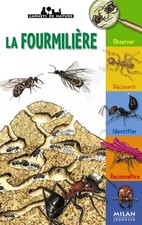 Fourmilière anne eydoux - fourmilière,