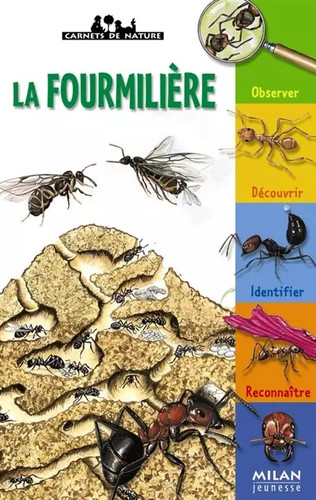 Fourmilière anne eydoux - (la),,