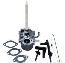 Carburateur pour Briggs &