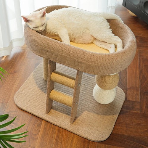 Petit arbre chat avec - petit,