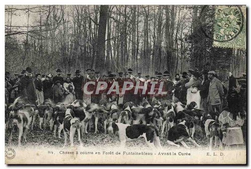 Chasse courre forêt de - à, en