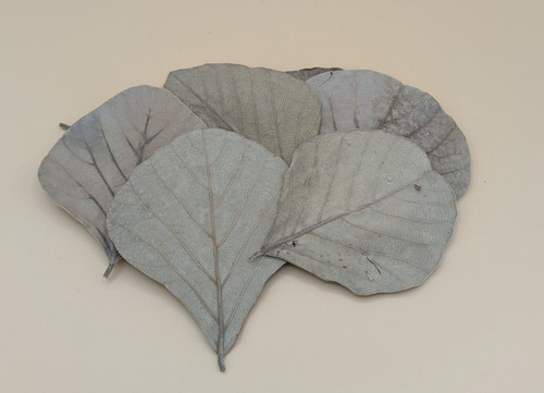 Décorations naturelles