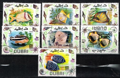 Dubai fauna marine - fauna,
