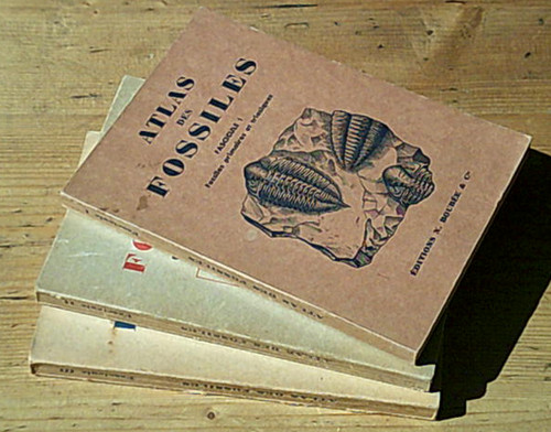 Atlas des fossiles complet - des,