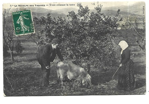 Agriculture recolte des - agriculture, la