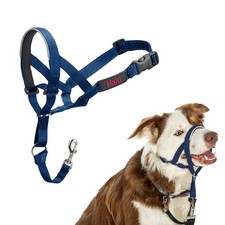 Muselière Company of Animals