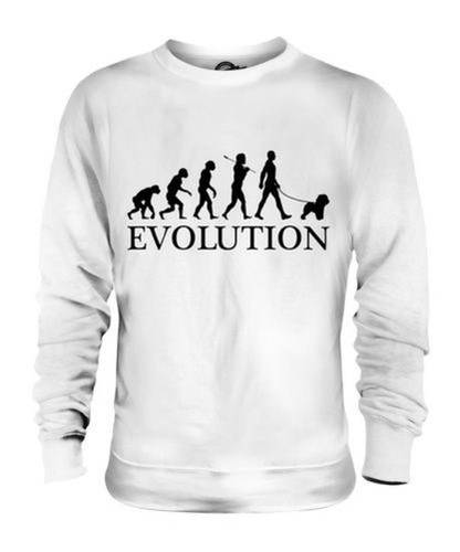 Bichon frisé évolution - bichon,