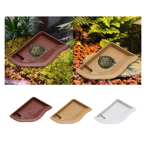 Bassin eau pour reptiles - bassin,