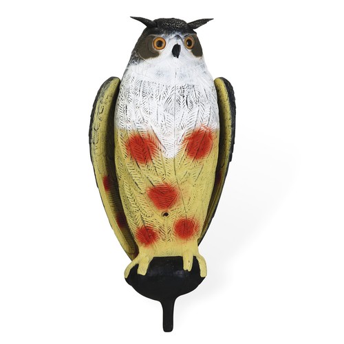 Appelant grand duc - duc, ailes
