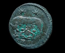 Nummus En Bronze Revers À La Louve