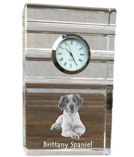 Breton Épagneul, Breton