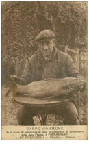 89 . n°38005 .port fox.au robinson.carpe commune.peche.en letat