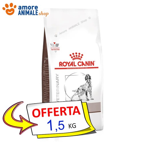 Royal canin chien - canin,