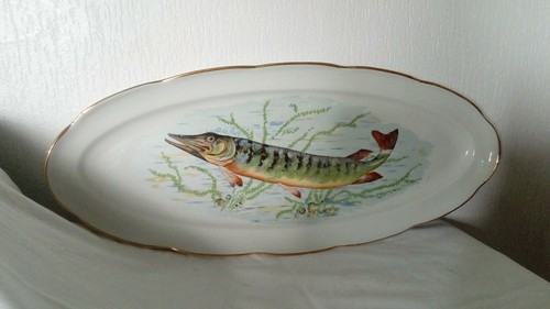Grand plat poisson en - grand,