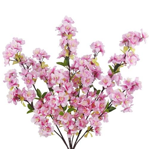 Pcs pink cherry blossom - pcs,