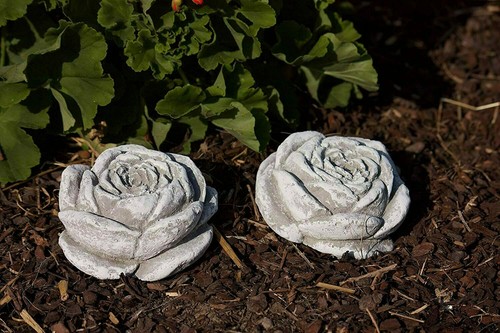Pierre fleurs résistant - 2,