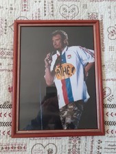 cadre de johnny hallyday stade