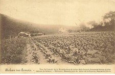 BELGIUM #MK35517 BOHAN SUR SEMOIS VIEW FROM THE ENTRANCE OF THE TOBACCO FACTORY