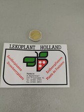 LEKOPLANT HOLLAND strawberry plants sticker/sticker