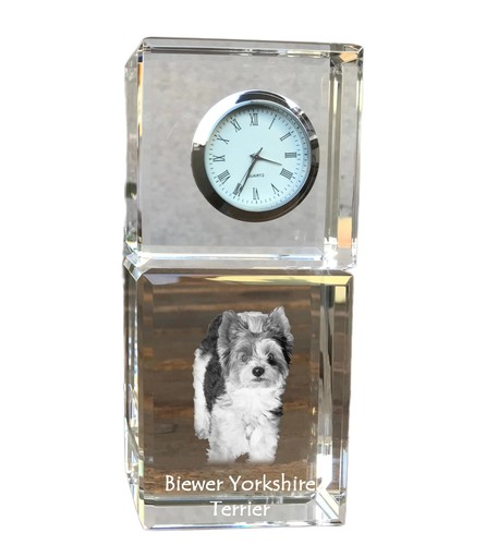 Biewer yorkshire terrier - terrier,
