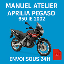 Manuel Atelier Aprilia Pegaso