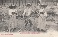 CP IN WORK SUIT - 82350