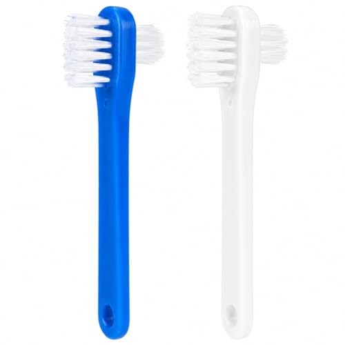 Brosse pour prothèses