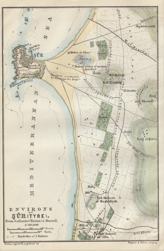 Tyros environnement ṣūr - tyros,