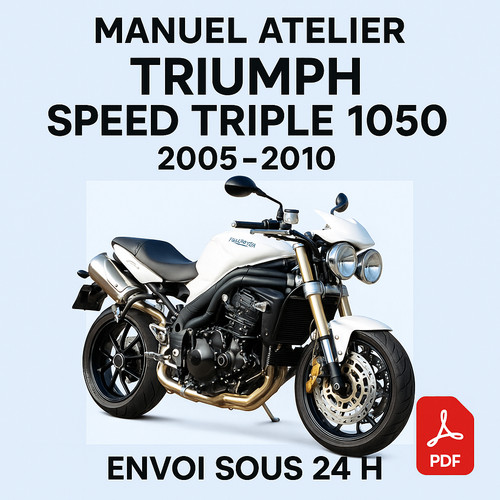 Manuel atelier triumph speed - manuel,