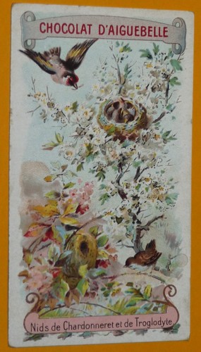 Chromo 1910 1930 chocolat - chromo,