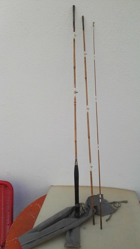 Canne peche pour - à, truite