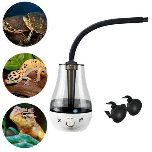 Brumisateur pour terrarium