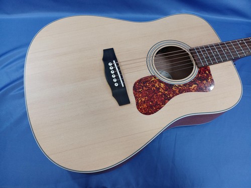 Guitare électrique acoustique