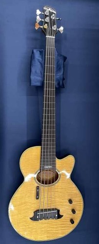 Guitare basse acoustique - guitare, basse/acoustique