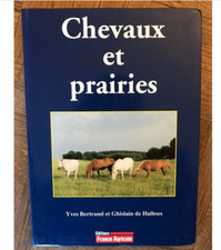 Chevaux Et Prairies