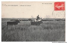 CAR-AFIP13-0728-13 - En