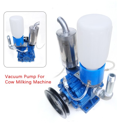 Vacuum pump cow milking - cow,