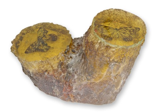 Fossile artificiel de - un,