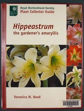 READ – HIPPEASTRUM, THE