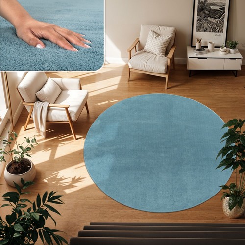 Tapis poil ras salon - de,