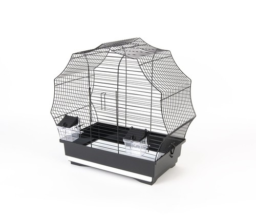Cage oiseaux noir - oiseaux,