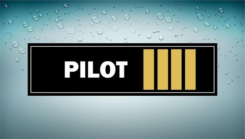 Autocollant sticker voiture