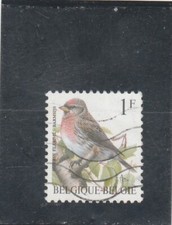 L7076 BELGIQUE TIMBRE N° Y&T 2457 de 1992 " Oiseau Sizerin flammé  " Oblitéré