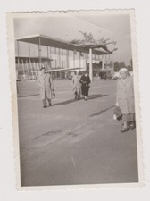 ✨ Photo rare Expo 58 Cheval